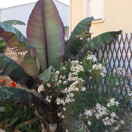 Avec Piscine Et Parking Prive