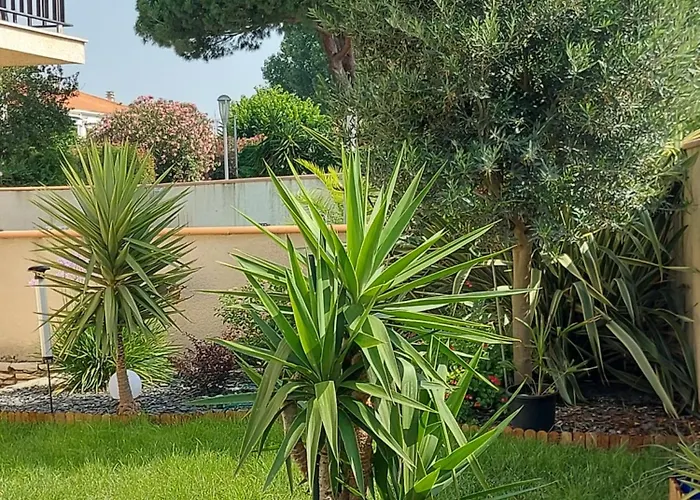 Maison A Appartement